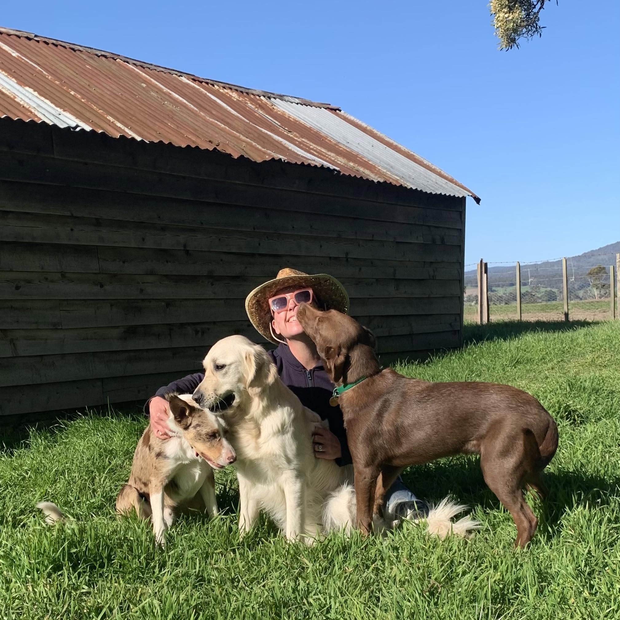 Amanda relaxing with three dogs at Tasmanian Dog Stays